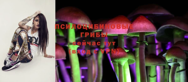 трава Нязепетровск