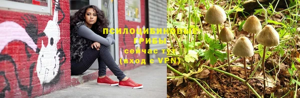 соль ск Няндома