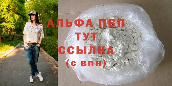 хмурый Осинники