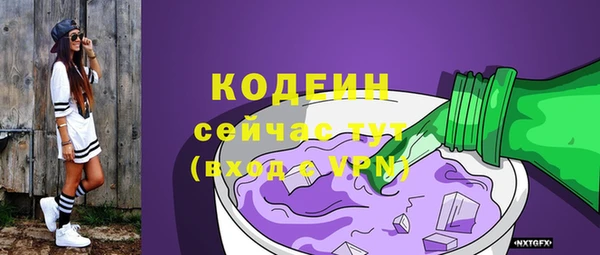 соль ск Няндома
