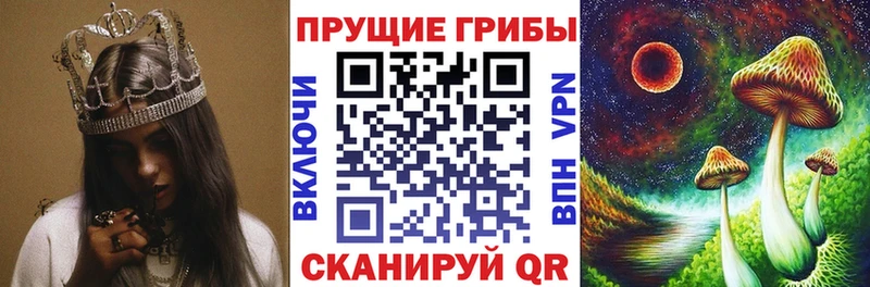 кракен ссылки  продажа наркотиков  Ветлуга  Галлюциногенные грибы Magic Shrooms 